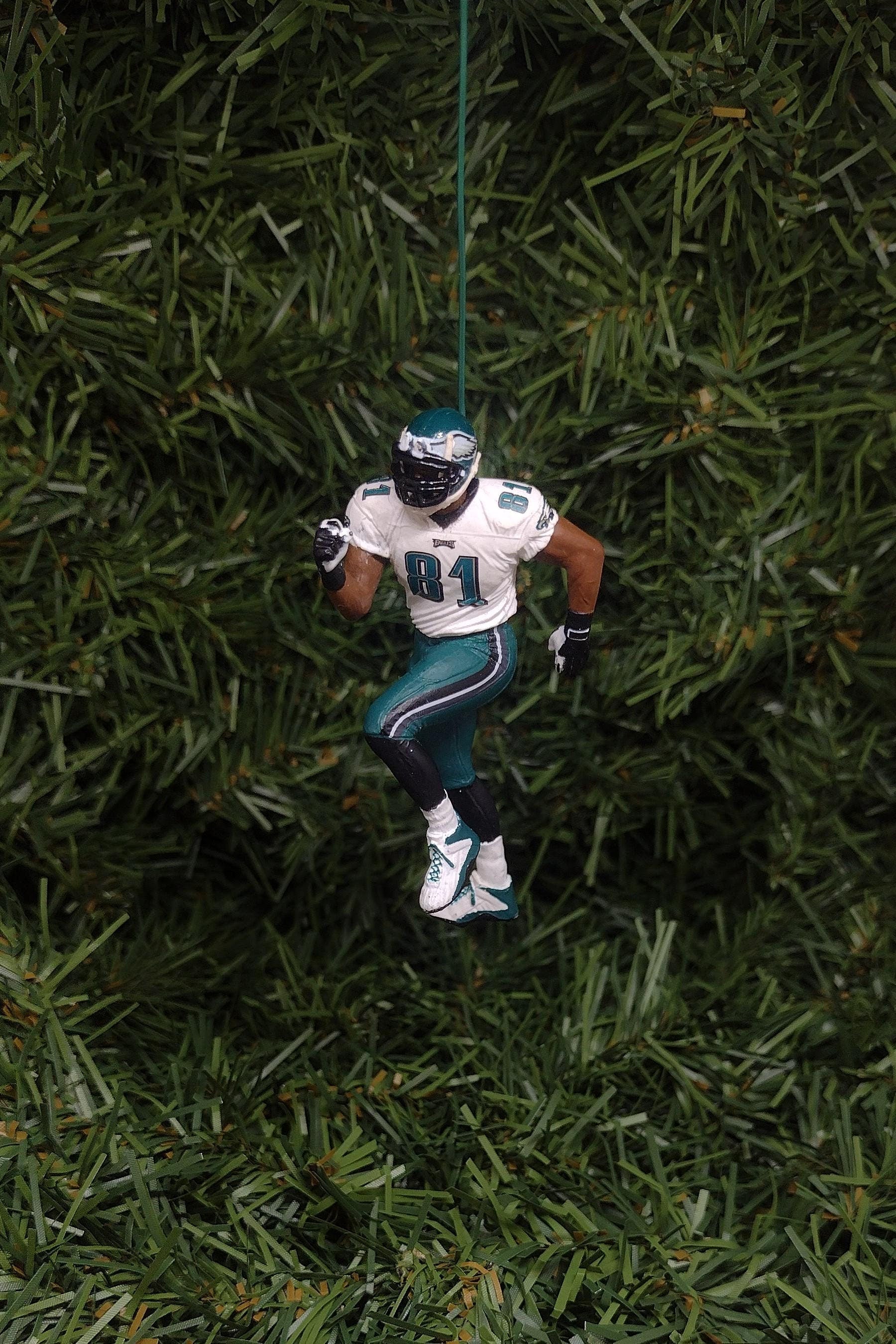 PHILADELPHIA EAGLES Ornament Christmas Gift Idea Terrell Owens Unique Xmas Tree Decoration NFL Football