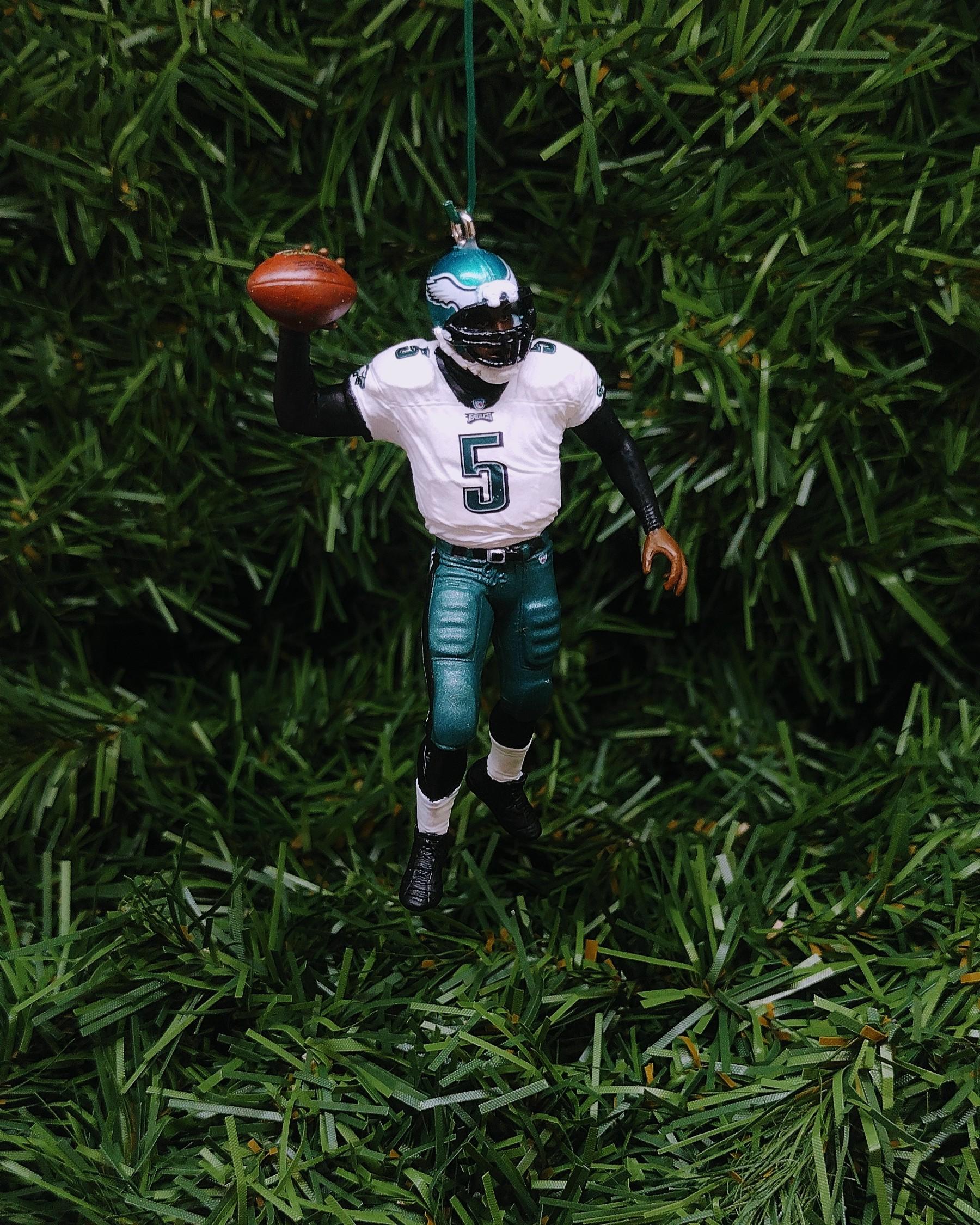 PHILADELPHIA EAGLES Ornament Christmas Gift Idea Donovan McNabb Unique Xmas Tree Decoration NFL Football
